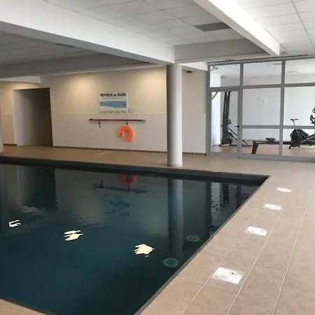 Cabine, Piscine Couverte Et Fitness, Parking, Proche Pistes, Calme, Terrasse Exposee Sud - Fr-1-404-302 La Mongie
